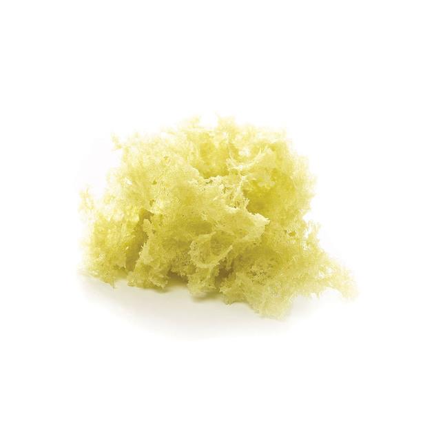 EL spongecake pistache 8 st