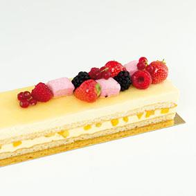 06004 - Longueur Passie Mango 620g lange band Longueur Passie Mango 620g lange band