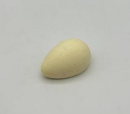 Crutaste maxi quenelles vanille bourbon roomijs 20st