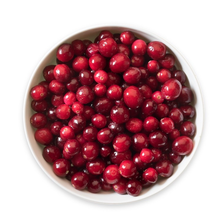 Cranberry Veenbessen 5x1kg