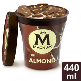 Pint Magnum Almond 440ml
