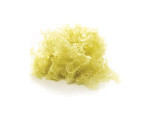 EL spongecake pistache 8 st